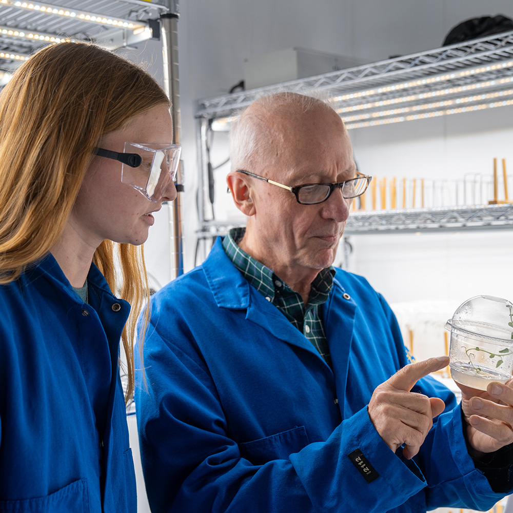 Two scientists in blue lab coats examining a petri dish, senior researcher explaining