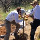 Two people digging with shovels near trees and tarps in a sunny field