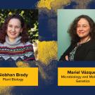 AAAS Fellows