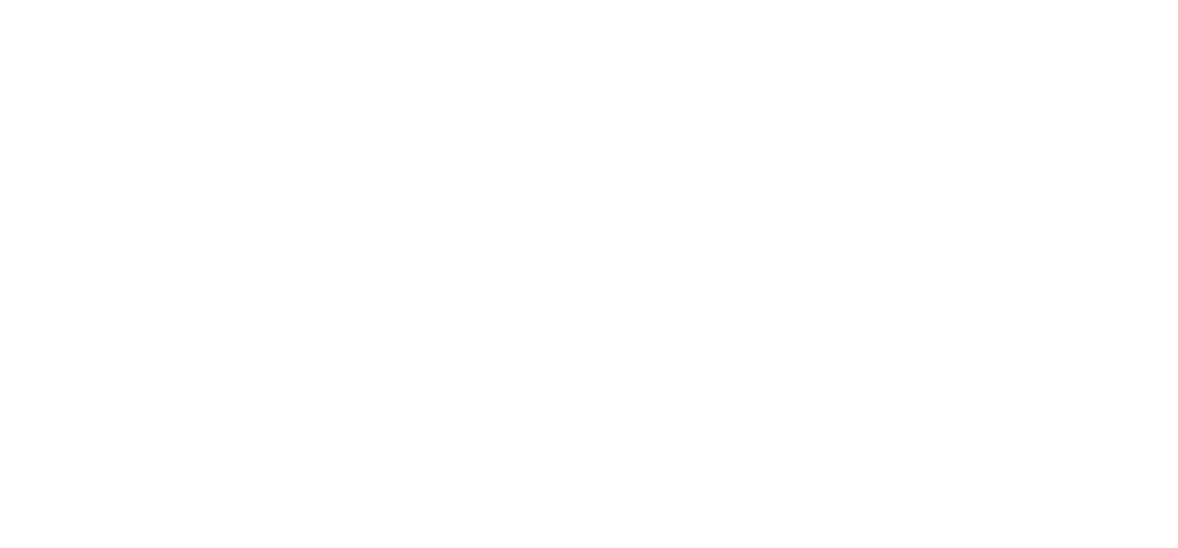 PLB Logo