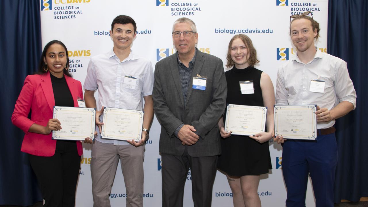 grad mentor awards
