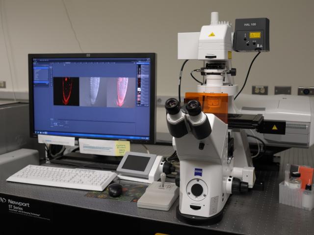 PLB Confocal Microscope